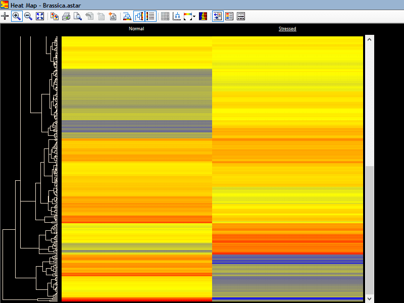 RNASeq-Heat-Map Heat Map